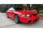 Thumbnail Photo 45 for 2003 Ford Mustang Cobra Coupe